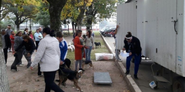 Gaboto reprogramó la jornada de castraciones por las lluvias