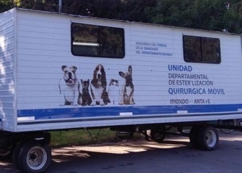 Castrarán a 50 mascotas en Villa La Ribera