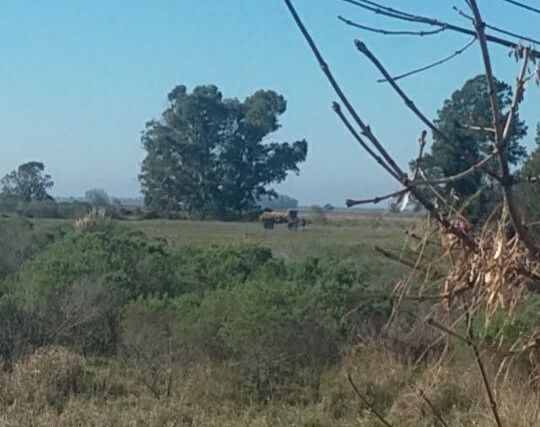 Vecinos de Andino y Monje denuncian fumigaciones a distancias no permitidas