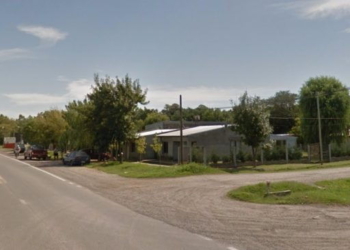 Maltrato animal: asesinaron a un perro de un disparo