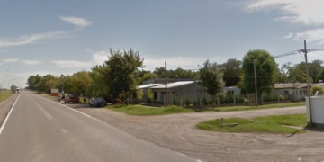 Maltrato animal: asesinaron a un perro de un disparo