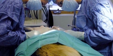 Abrieron la inscripción en Barrancas para la nueva campaña de castración