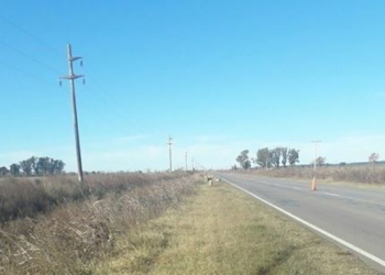 Indignación por una docena de perros abandonados en la ruta