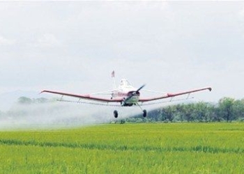 A pesar de la ordenanza, continúa la fumigación aérea en Barrancas