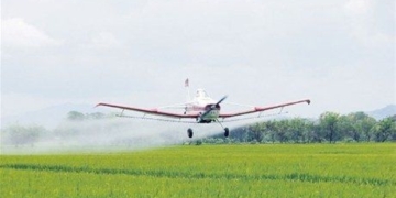 A pesar de la ordenanza, continúa la fumigación aérea en Barrancas