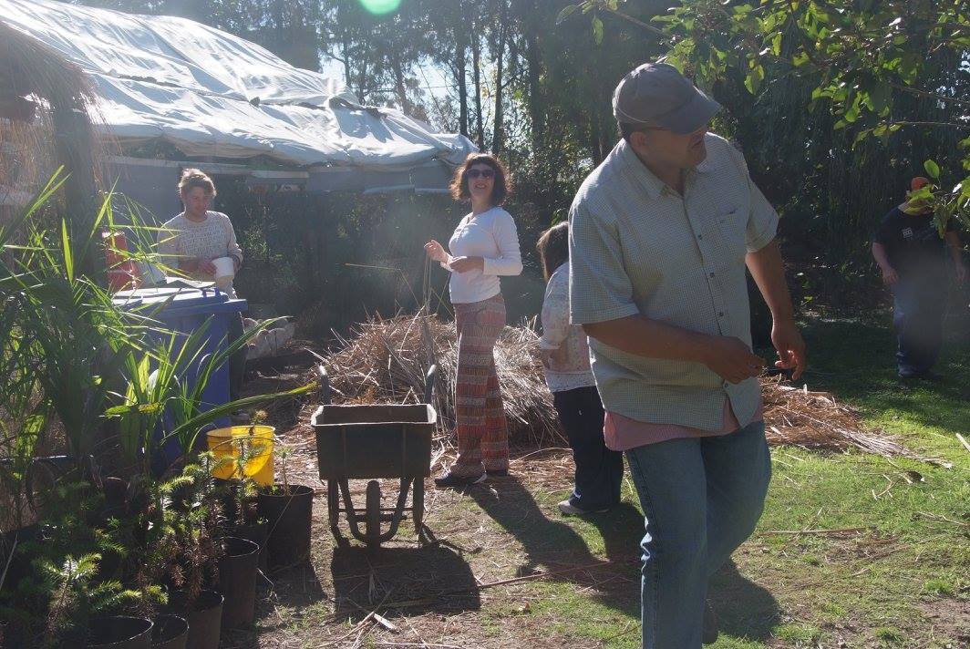Totoras: el vivero inclusivo celebrará otra feria