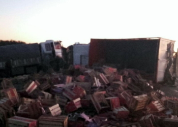 Tres camiones y una moto protagonizaron dos accidentes en autopista