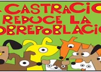 Jornada de castración en el Balneario de Monje