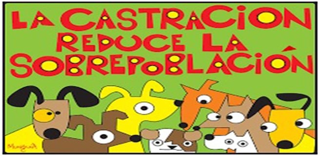 Jornada de castración en el Balneario de Monje