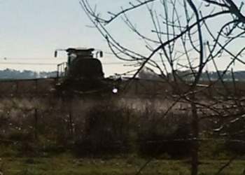 Vecinos de Andino impulsan una nueva ordenanza sobre fumigaciones