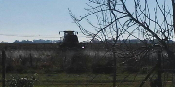 Vecinos de Andino juntan firmas para modificar la ordenanza de fumigaciones