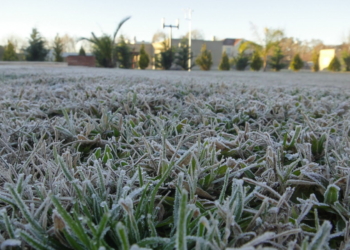 El frío polar estará acompañado por el sol durante la semana