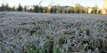 El frío polar estará acompañado por el sol durante la semana