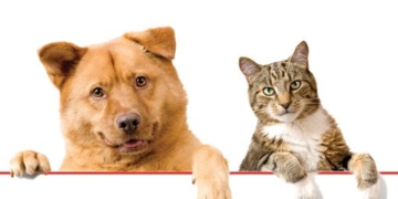 Nueva jornada de castración en Barrancas