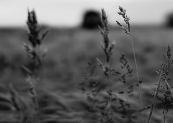 Día gris, baja de temperatura y alerta por vientos