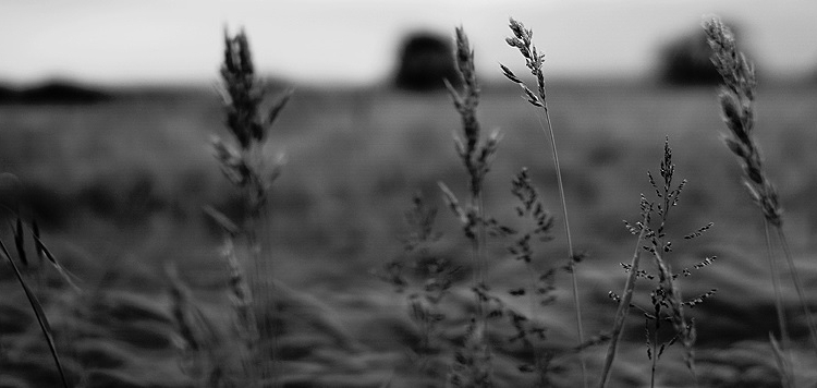 Día gris, baja de temperatura y alerta por vientos
