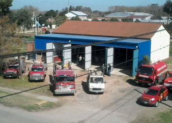 Oliveros: instituciones se unieron para rescatar a la gatita