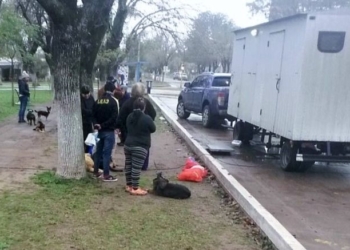 La campaña de castración se realizó en Gaboto y ya hay fecha para la próxima