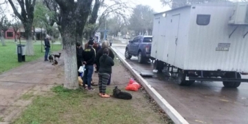 La campaña de castración se realizó en Gaboto y ya hay fecha para la próxima