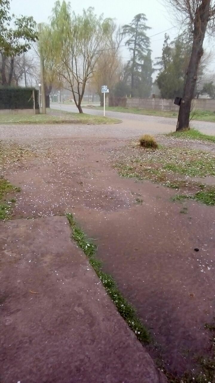Zona rural de Oliveros fue afectada por granizo de gran tamaño