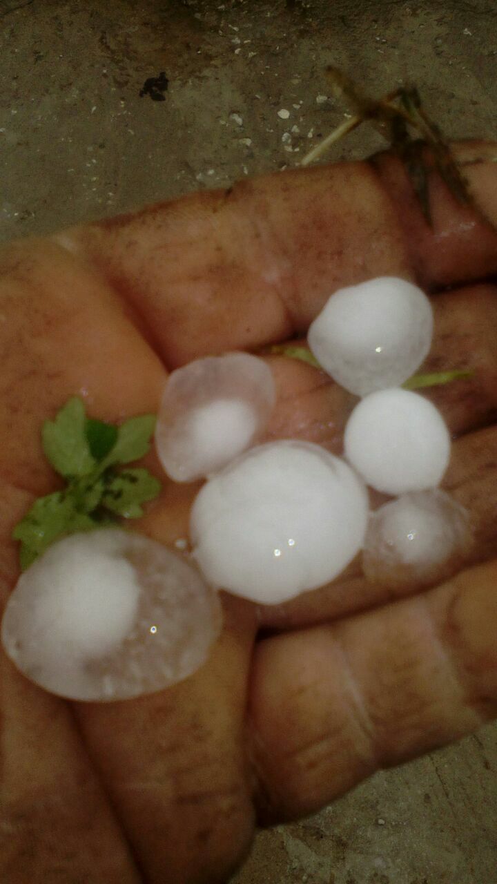 Zona rural de Oliveros fue afectada por granizo de gran tamaño