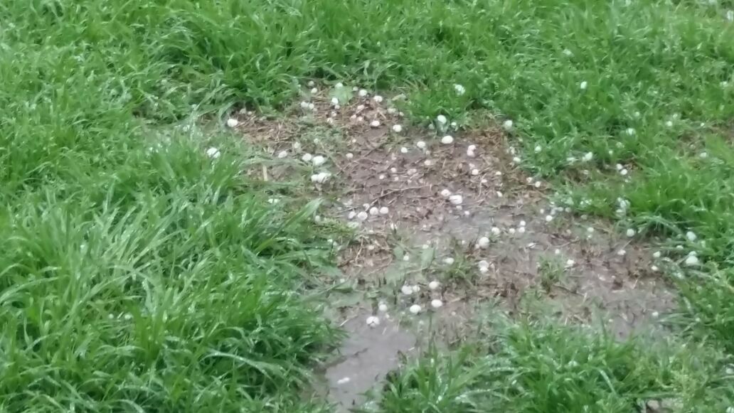 Zona rural de Oliveros fue afectada por granizo de gran tamaño
