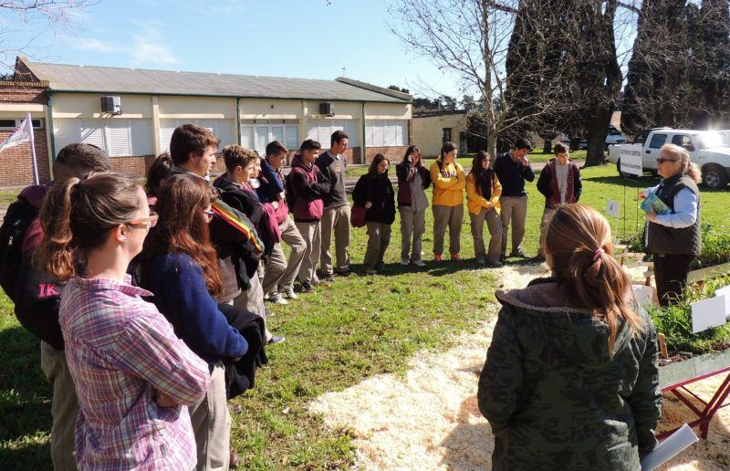 Escuelas agrotécnicas santafesinas visitaron el INTA Oliveros