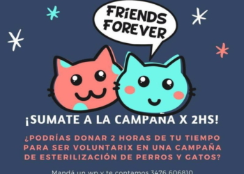 Totoras: buscan voluntarios y voluntarias para la campaña de esterilización