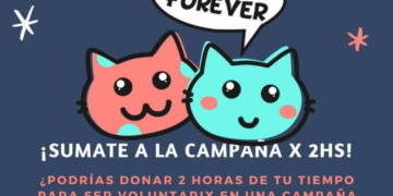 Totoras: buscan voluntarios y voluntarias para la campaña de esterilización