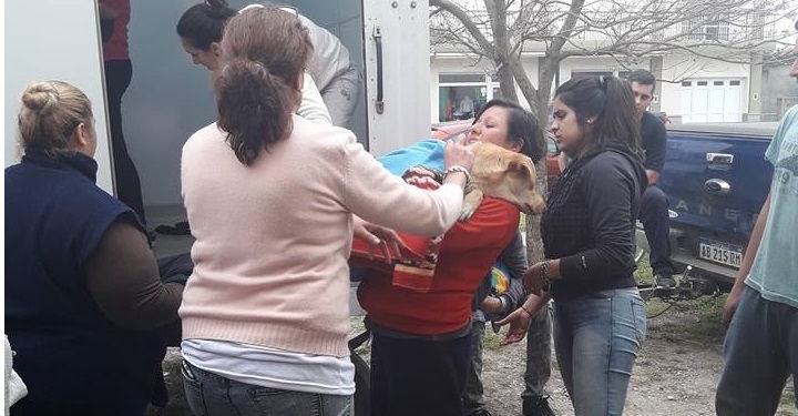 Más de 60 mascotas castradas en Timbúes