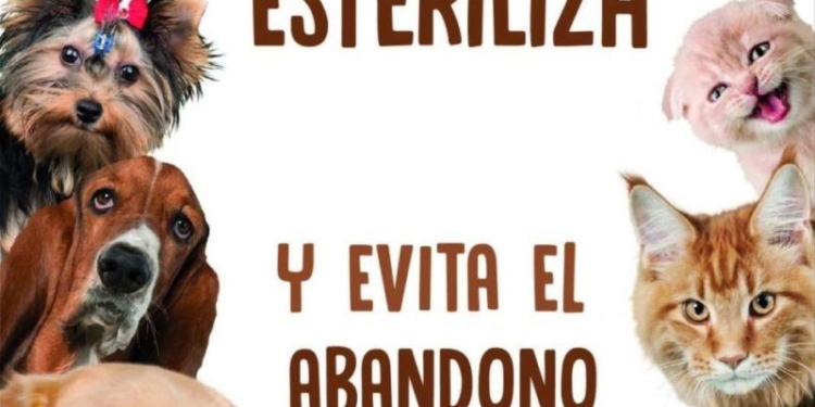 Llegan las castraciones de mascotas a Timbúes y Clarke