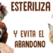 Llegan las castraciones de mascotas a Timbúes y Clarke