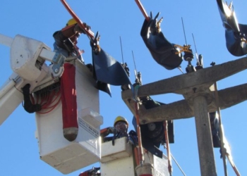 Totoras: corte de energía programado para este sábado