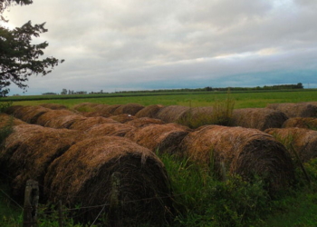 Cesó el alerta meteorológico para toda la provincia de Santa Fe
