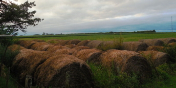 Cesó el alerta meteorológico para toda la provincia de Santa Fe