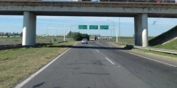 Chocaron a un perro en la autopista y los tendrán que indemnizar