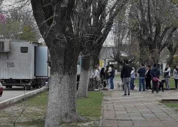 Gaboto continúa con el control poblacional: castraron más de 150 mascotas