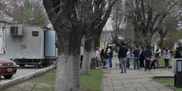 Gaboto continúa con el control poblacional: castraron más de 150 mascotas