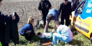 Ruta 11: un hombre hospitalizado tras volcar en Oliveros