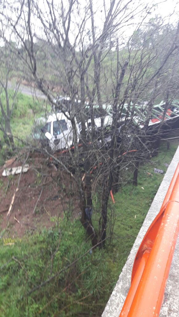 Un camión que transportaba autos cayó de un puente de la autopista