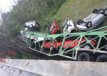 Un camión que transportaba autos cayó de un puente de la autopista