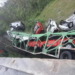 Un camión que transportaba autos cayó de un puente de la autopista