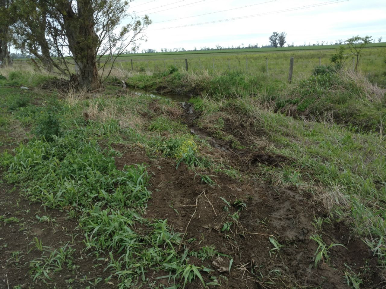 Un vehículo despistó en ruta 65 y finalizó en la cuneta
