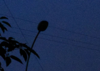 Un desperfecto dejó sin luz un sector del Boulevard Juan de Garay en Totoras