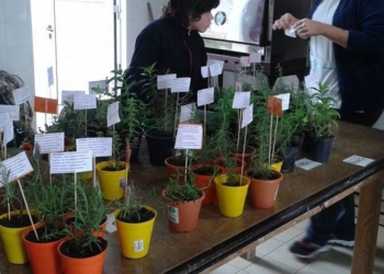 Alumnos de la Escuela Especial 2080 recorrerán las calles vendiendo sus productos