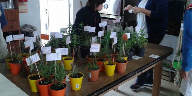 Alumnos de la Escuela Especial 2080 recorrerán las calles vendiendo sus productos