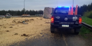 Dos camioneros alcoholizados fueron detenidos en la autopista