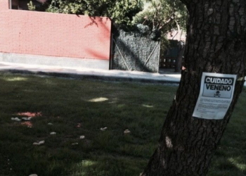 Alerta por envenenamiento de animales en Monje