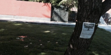 Alerta por envenenamiento de animales en Monje