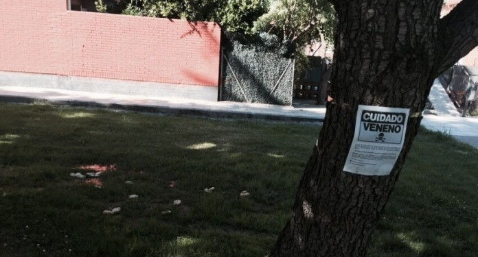 Alerta por envenenamiento de animales en Monje